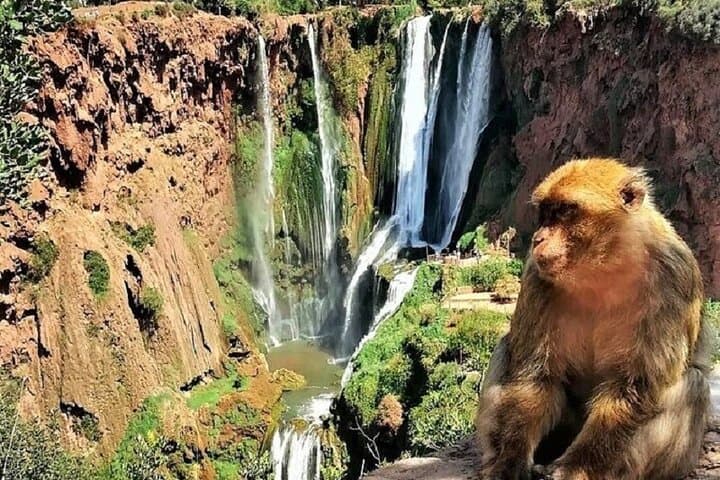 Ouzoud Waterfalls Day Trip from Marrakech: A Full-Day Guide photo 3