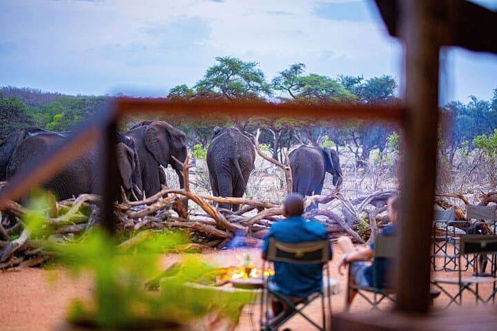Hwange, Victoria Falls & Chobe: A 6-Night Southern Africa Wildlife Circuit