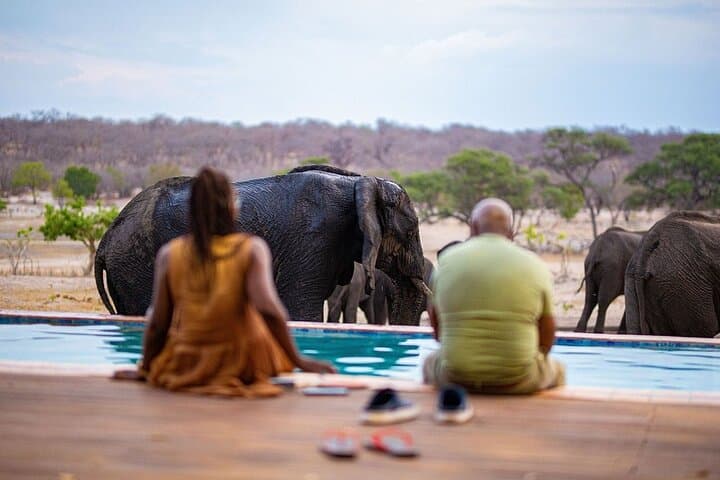 Hwange, Victoria Falls & Chobe: A 6-Night Southern Africa Wildlife Circuit photo 2