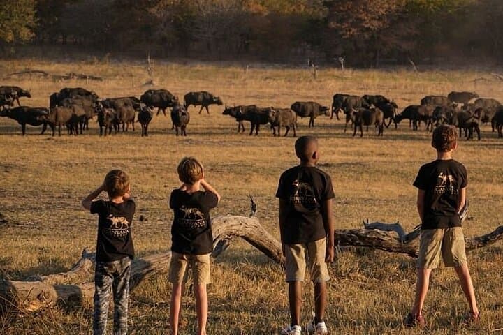 Hwange, Victoria Falls & Chobe: A 6-Night Southern Africa Wildlife Circuit photo 3