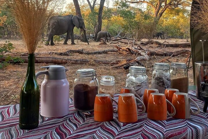 Hwange, Victoria Falls & Chobe: A 6-Night Southern Africa Wildlife Circuit photo 4