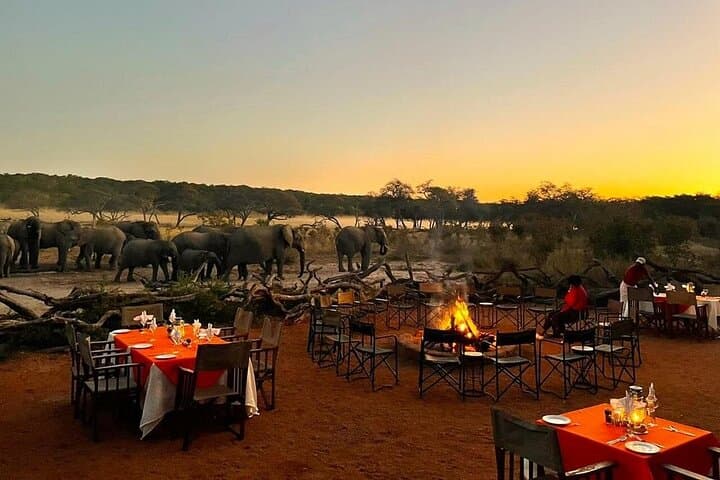 Hwange, Victoria Falls & Chobe: A 6-Night Southern Africa Wildlife Circuit photo 6