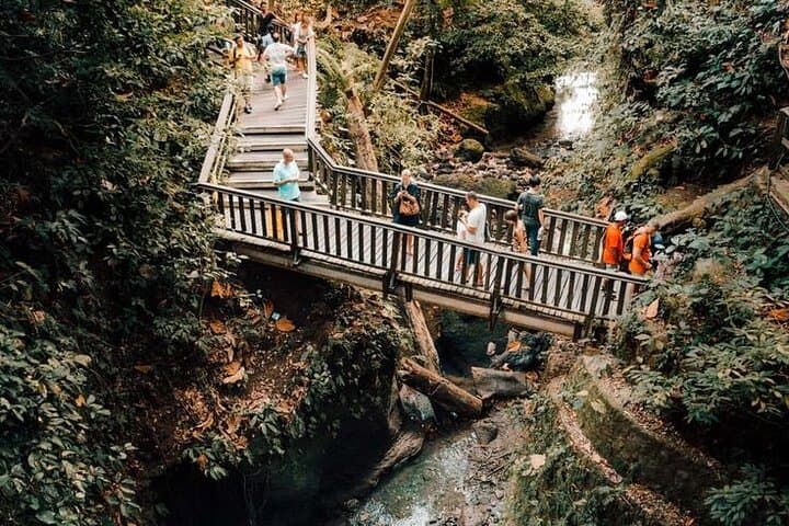 Exploring Ubud's Cultural Wonders: A Half Day Private Tour photo 6