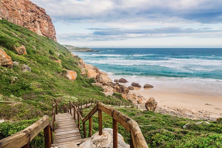 3-Day Garden Route Tour from Cape Town — Cango Caves, Safari & Whale Watching photo 6