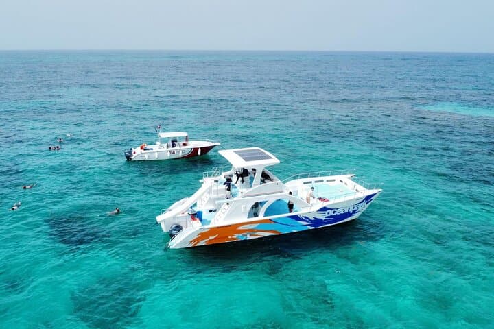Punta Cana Catamaran Party: VIP Rum, Snorkeling & Natural Pool Experience photo 3
