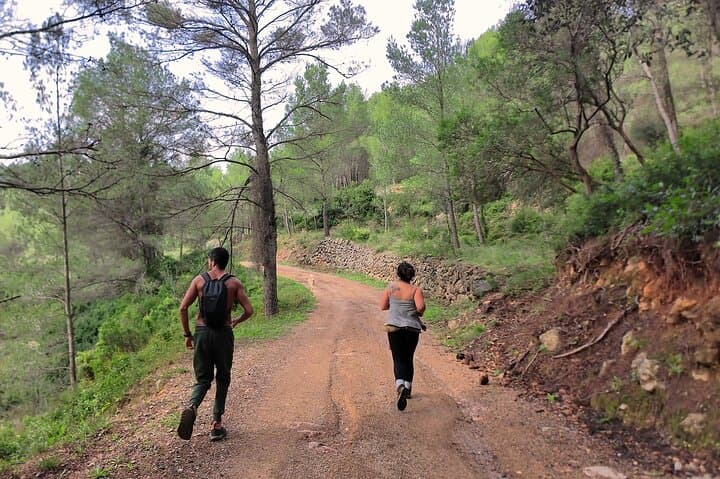 Full-Day Mountain Meditation Retreat Near Sitges — Mindfulness, Hikes & Sea Views photo 4