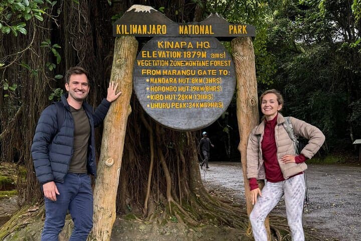 Mandara Huts Day Hike on Mount Kilimanjaro — Half-Day Trek from Moshi or Arusha