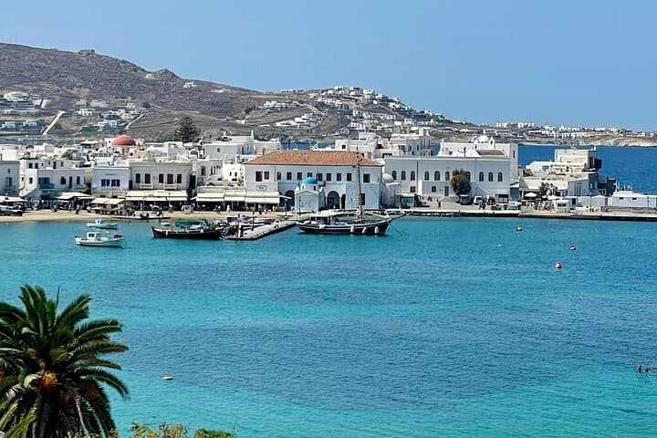 Charming Mykonos: Intimate 2‑Hour Private Island Tour photo 5