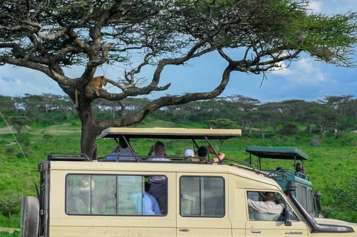 5-Day Tarangire, Serengeti & Ngorongoro Safari — Northern Circuit Highlights photo 6