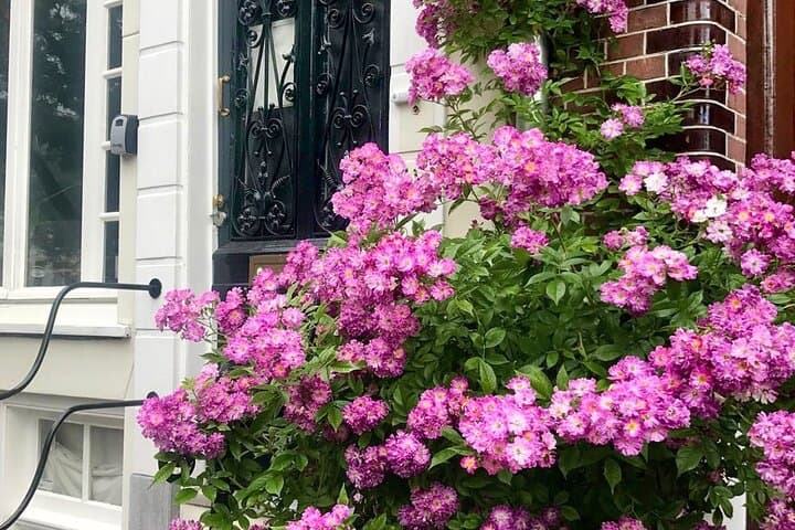 Amsterdam Highlights and Hidden Corners: 3–4 Hour Private Walking Tour photo 6