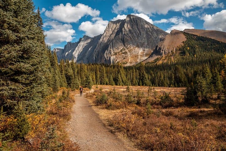 Canmore Private Guided Nature Walk — 3.5‑Hour Wildlife & Geology Stroll
