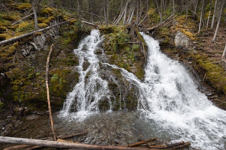 Canmore Local Explorer: 3-Hour Hidden Trails Hike to Waterfalls and Lakes photo 5