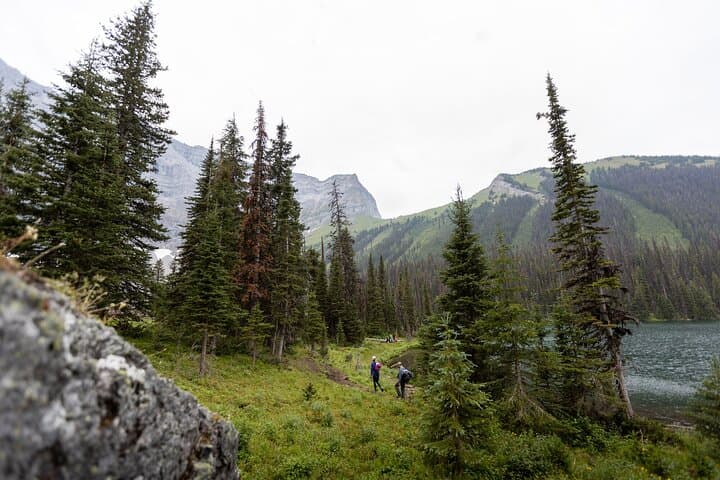 Canmore Local Explorer: 3-Hour Hidden Trails Hike to Waterfalls and Lakes photo 6