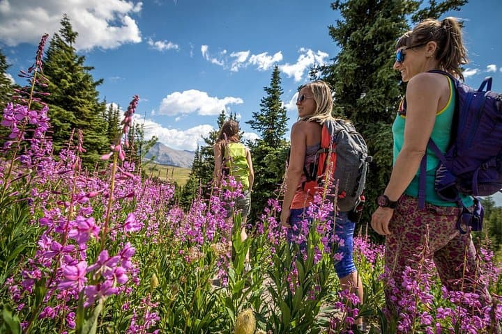 Banff Medicinal and Edible Plants Walk — 2-Hour Guided Herbal & Survival Tour photo 2