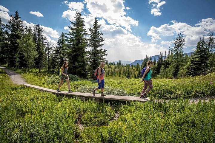 Banff Medicinal and Edible Plants Walk — 2-Hour Guided Herbal & Survival Tour photo 3