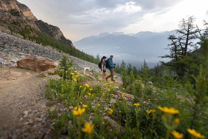 Banff Medicinal and Edible Plants Walk — 2-Hour Guided Herbal & Survival Tour photo 6