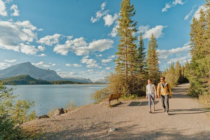 Canmore Medicinal & Edible Plants Walk: 2-Hour Guided Foraging Tour photo 2