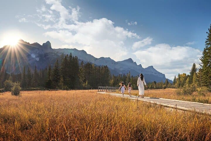 Canmore Medicinal & Edible Plants Walk: 2-Hour Guided Foraging Tour photo 4