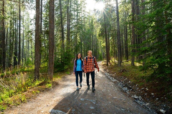 Canmore Medicinal & Edible Plants Walk: 2-Hour Guided Foraging Tour photo 5