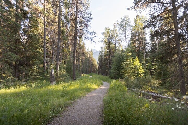 Banff Private Guided Nature Walk — 2-Hour Personalized Hike in the Canadian Rockies photo 2