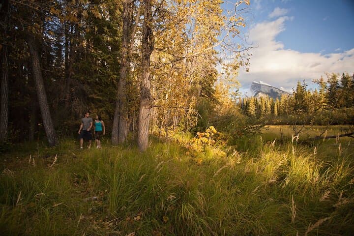 Banff Private Guided Nature Walk — 2-Hour Personalized Hike in the Canadian Rockies photo 3