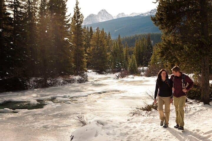 Banff Winter Wildlife Walk — Guided Ice‑Cleat Hike & Tracking photo 6