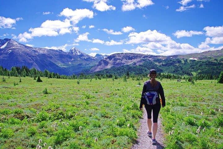 Banff Private Guided Nature Walk — 2-Hour Personalized Hike in the Canadian Rockies