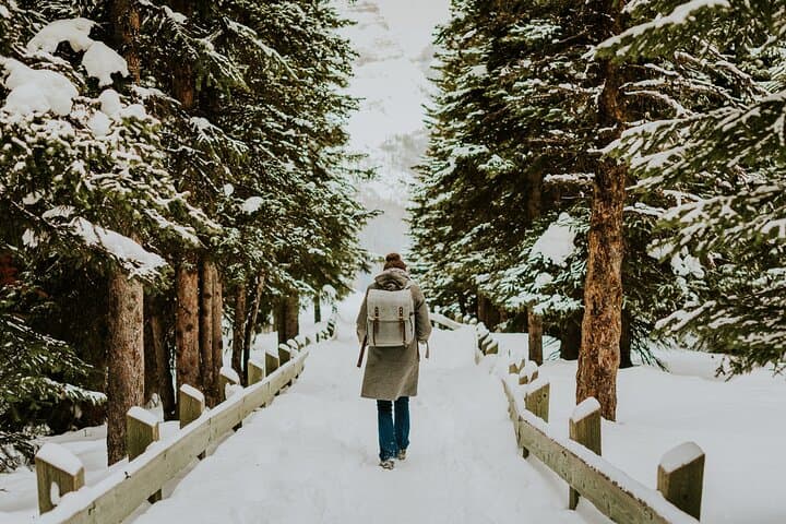 Banff 2-Hour Winter Wilderness Walk & Wildlife Tracking photo 5