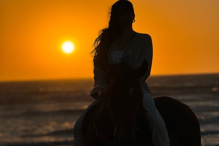 Golden Hour Horseback Ride Along Essaouira's Atlantic Coast