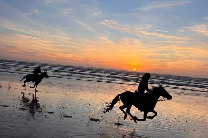 Golden Hour Horseback Ride Along Essaouira's Atlantic Coast photo 3