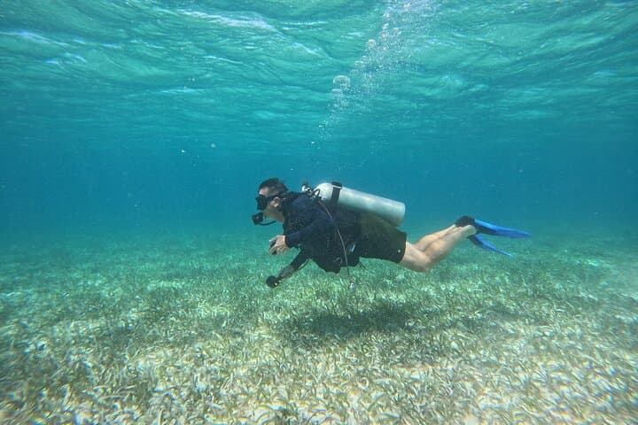 Ambergris Caye Small-Group Scuba Diving at the Belize Barrier Reef photo 2