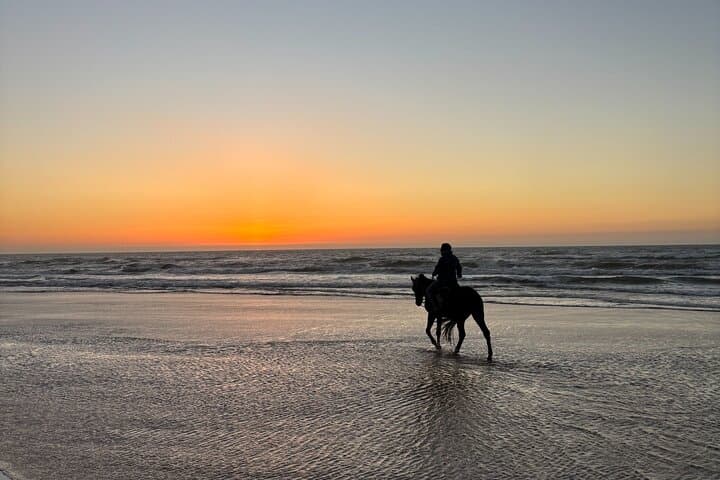 Golden Hour Horseback Ride Along Essaouira's Atlantic Coast photo 4