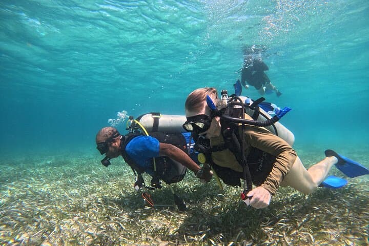 Ambergris Caye Small-Group Scuba Diving at the Belize Barrier Reef photo 5