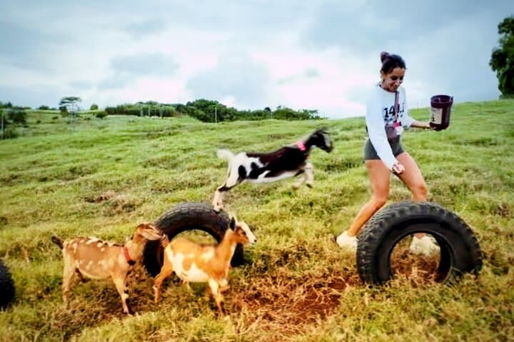 Kauai Baby Farm Animal Experience & Micro Dairy Immersion photo 4