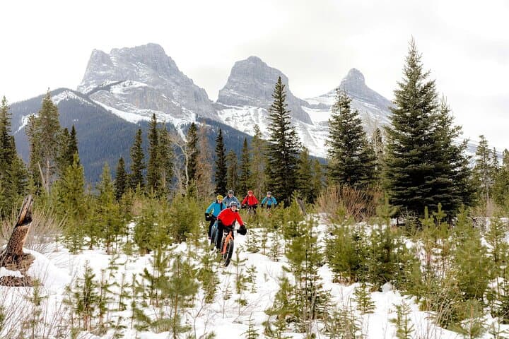 Canmore Winter Wildlife Tracks: Guided 2-Hour Nature Walk photo 3