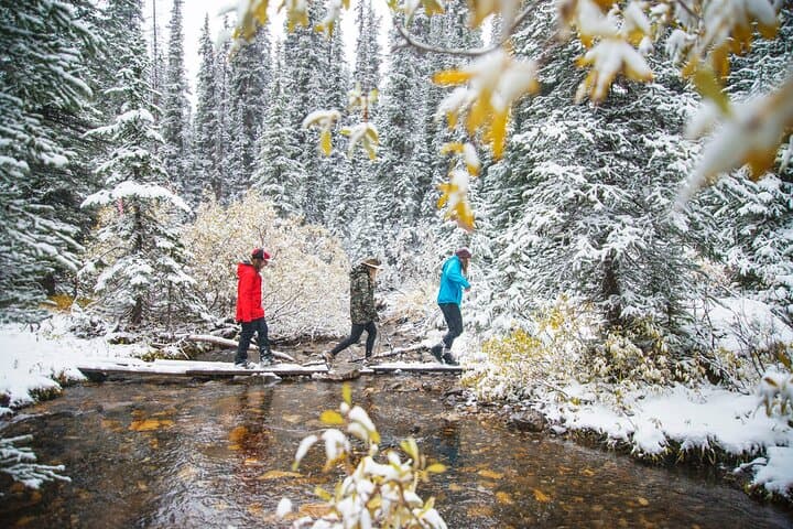 Canmore Winter Walk: Guided Ice-Cleat Nature Walk and Wildlife-Track Tour
