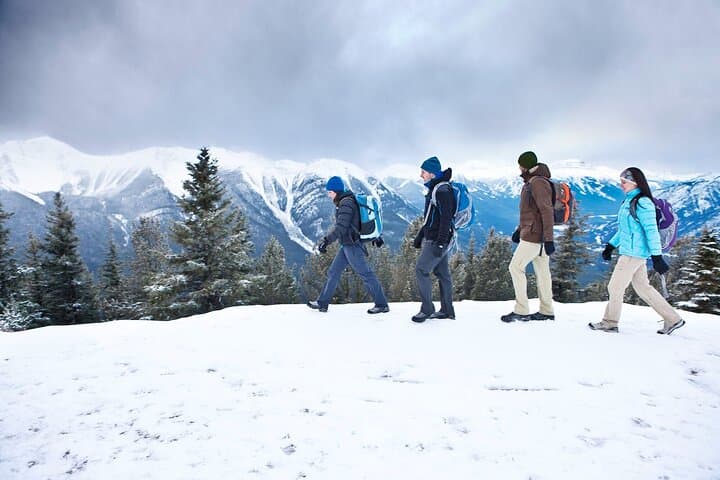 Banff Winter Wildlife Walk — Guided Ice‑Cleat Hike & Tracking photo 2