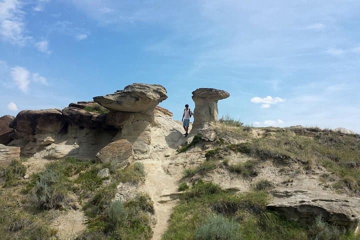 Banff to Drumheller Badlands & Royal Tyrrell Private Day Tour photo 6