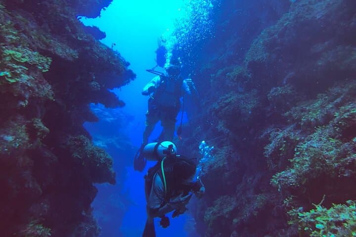 Ambergris Caye Small-Group Scuba Diving at the Belize Barrier Reef