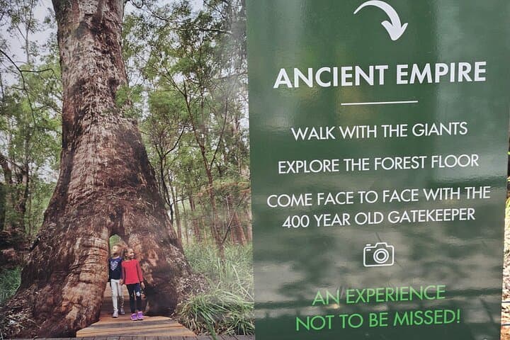 2-Day Southwest WA: Busselton Jetty, Ngilgi Cave & Valley of the Giants