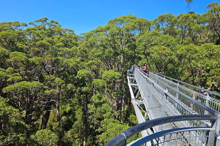 2-Day Southwest WA: Busselton Jetty, Ngilgi Cave & Valley of the Giants photo 2