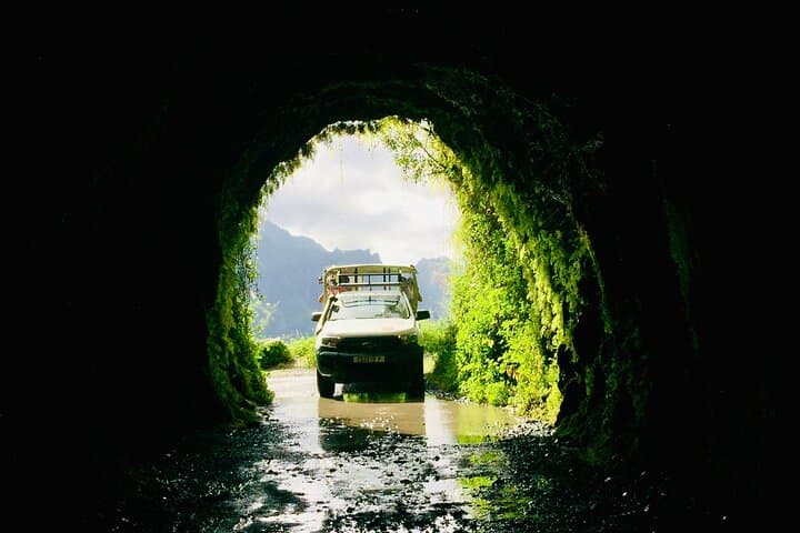 4x4 Safari in Tahiti's Papenoo Valley: Waterfalls, Caldera & Coastal Views photo 5