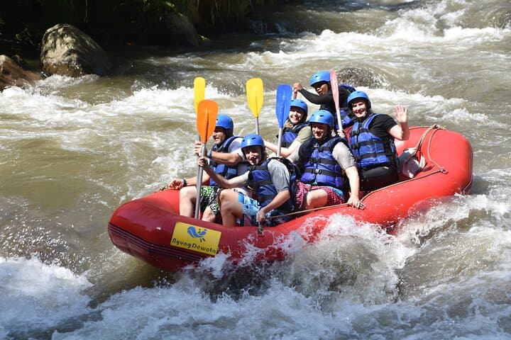 Ayung River Rafting in Ubud, Bali — Class II–III White Water Adventure photo 3