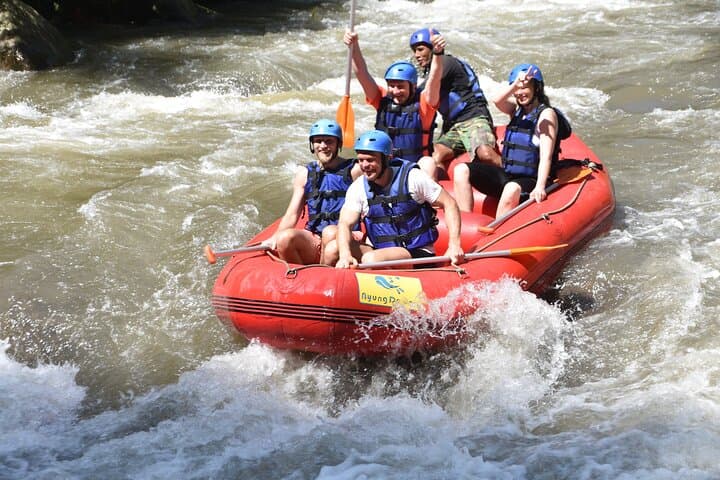 Ayung River Rafting in Ubud, Bali — Class II–III White Water Adventure photo 6