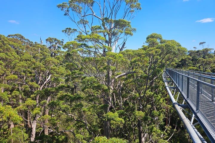 2-Day Southwest WA: Busselton Jetty, Ngilgi Cave & Valley of the Giants photo 4