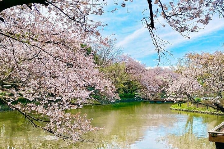 Personalized Kamakura Walking Tour: Temples, Trails & Coastal Views with a Local Guide photo 2