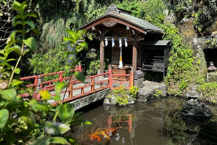 Personalized Kamakura Walking Tour: Temples, Trails & Coastal Views with a Local Guide photo 6