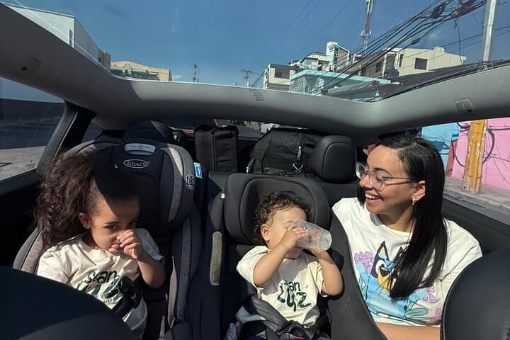 Punta Cana to Santo Domingo: Tesla Transfer — Fast, Quiet & Eco-Friendly photo 4