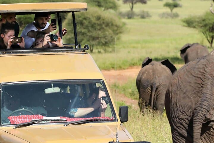 Mikumi Safari Adventure: 2-Day Mikumi National Park Wildlife Safari from Zanzibar photo 6