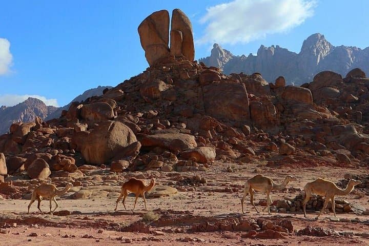 3-Day Archaeological Tour of Jabal Al Lawz: Nabataean Ruins & Prophet Sites